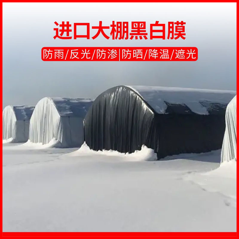 【厂家直销】批发黑白膜养殖大棚膜塑料防老化膜