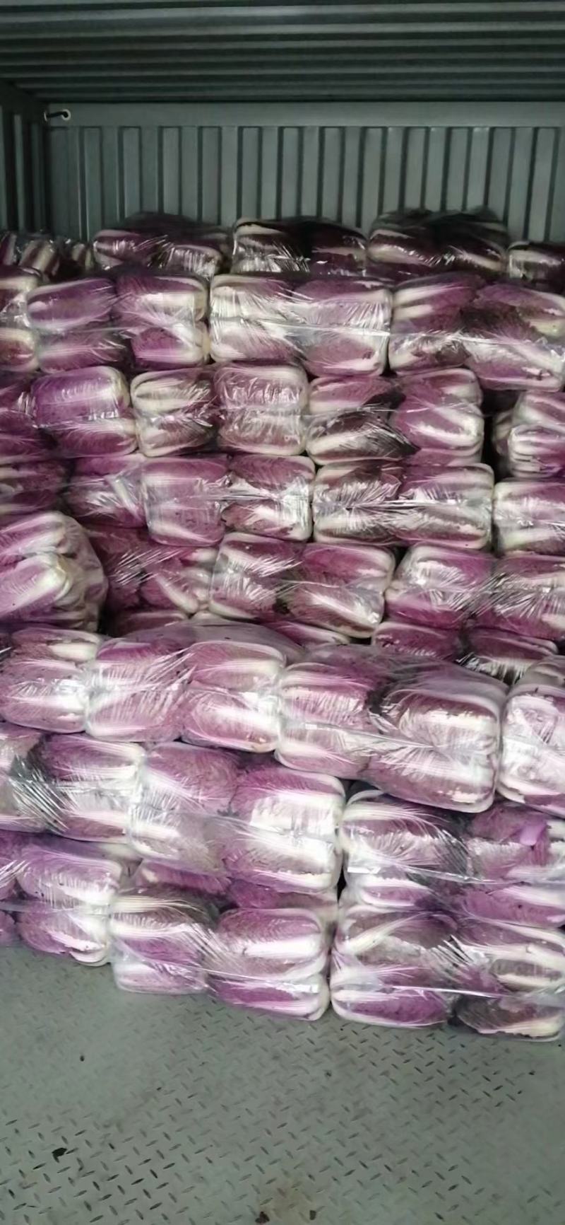 精品萍果苦瓜，质量杠杠滴