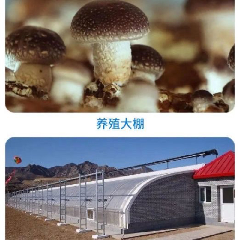 【厂家直销】批发黑白膜养殖大棚膜塑料防老化膜