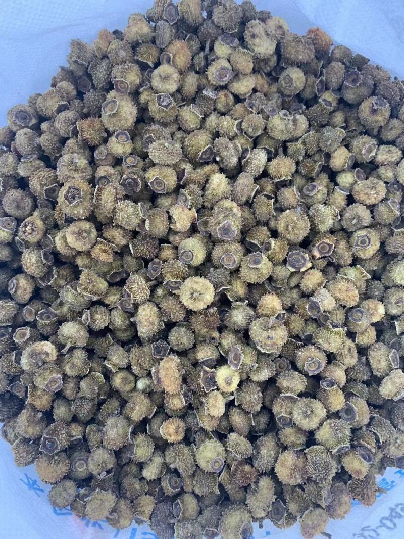 贵龙5号刺梨干果现货现货中药材泡酒