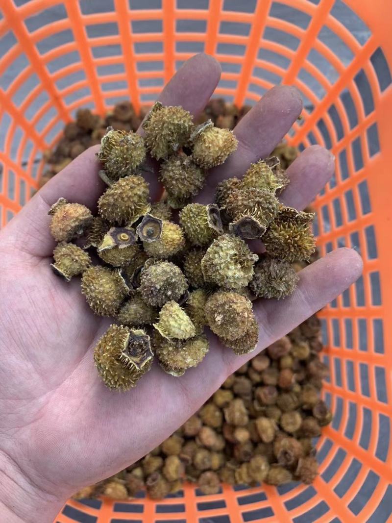 贵龙5号刺梨干果现货现货中药材泡酒