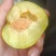 精品黄金那里大量上世