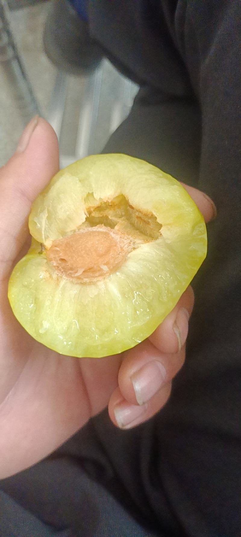 精品黄金那里大量上世
