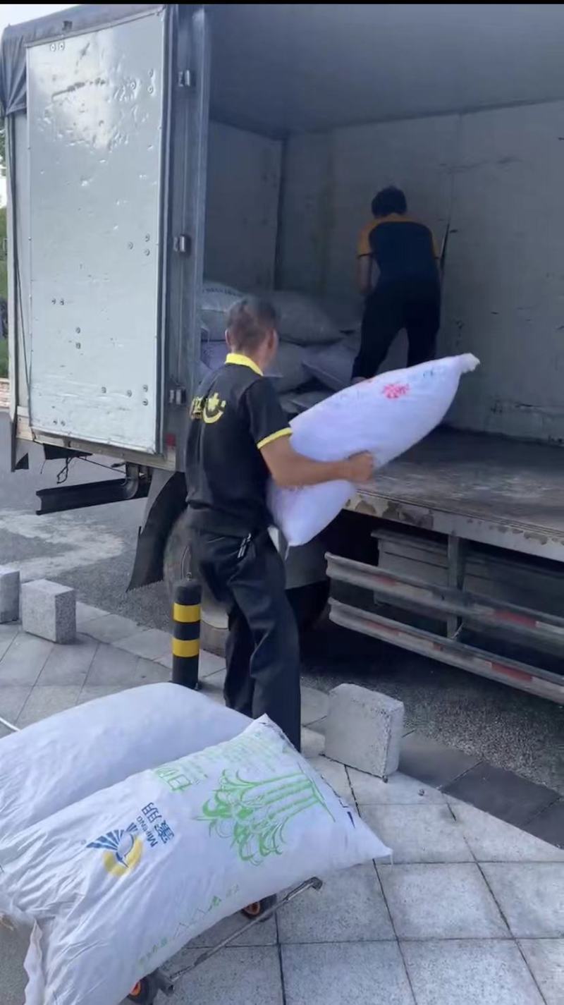 贵龙5号刺梨干果现货现货中药材泡酒