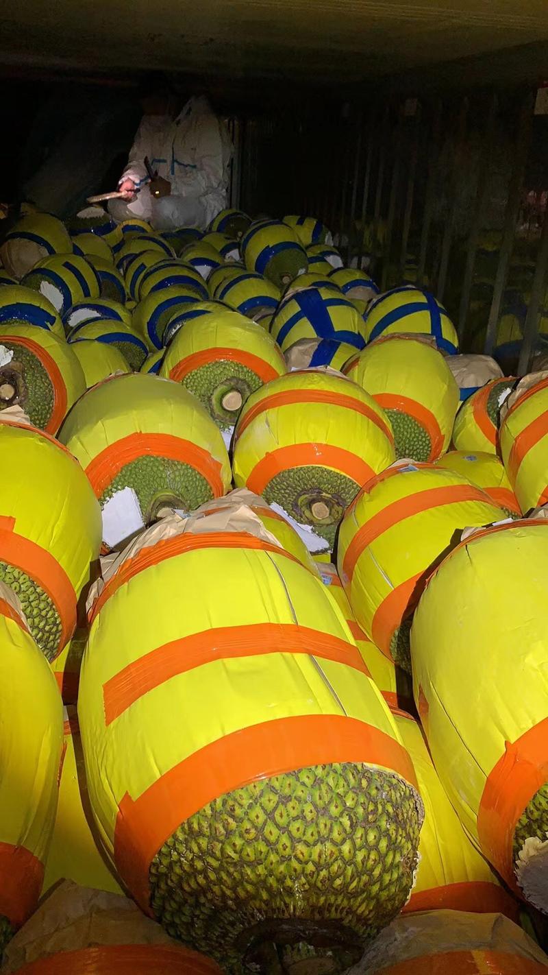 红肉菠萝蜜整柜切柜支持整车代办！供应全国批发市场