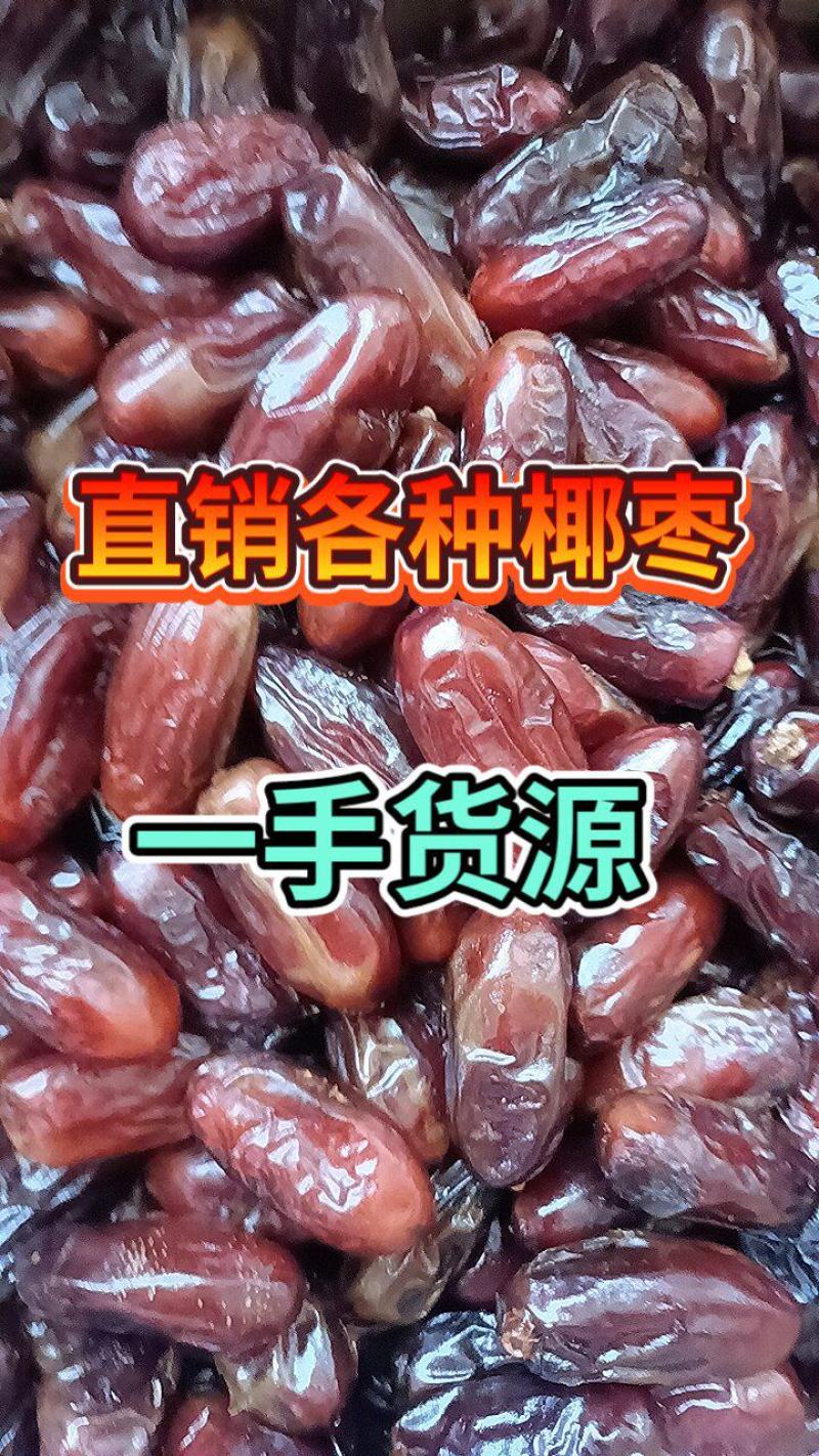 优选黄椰枣伊朗黑椰枣沙特椰全国包邮一手货源支持一件代发