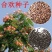 合欢种子粉红合欢籽山合欢绒花树种子银合欢种子金合欢种子