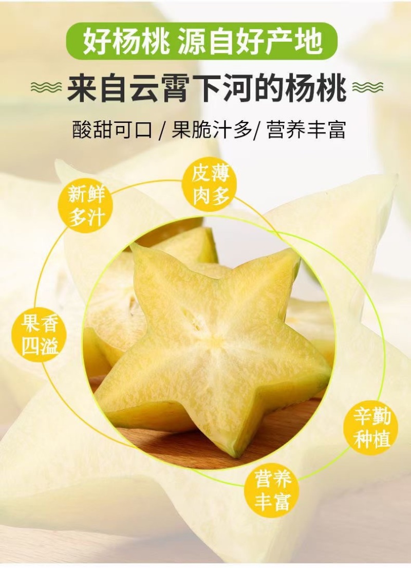 云霄下河杨桃大果代办市场支持整车代办供应电商平台