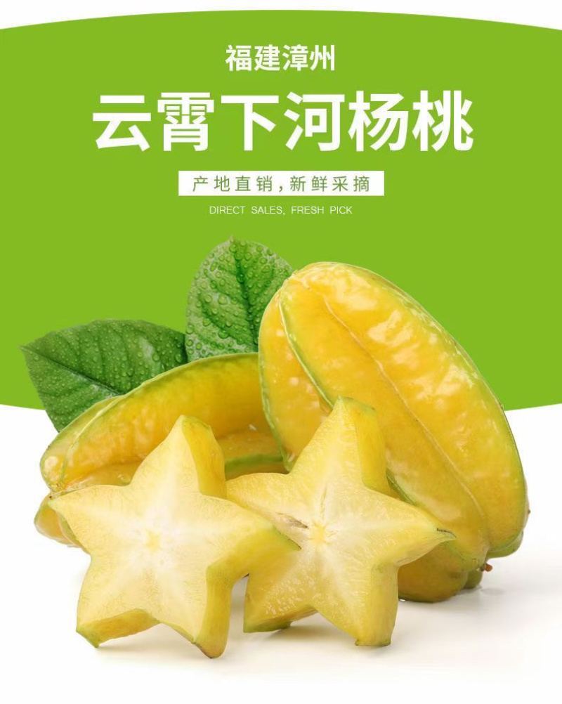 云霄下河杨桃大果代办市场支持整车代办供应电商平台