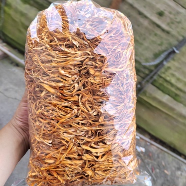 无硫排草
