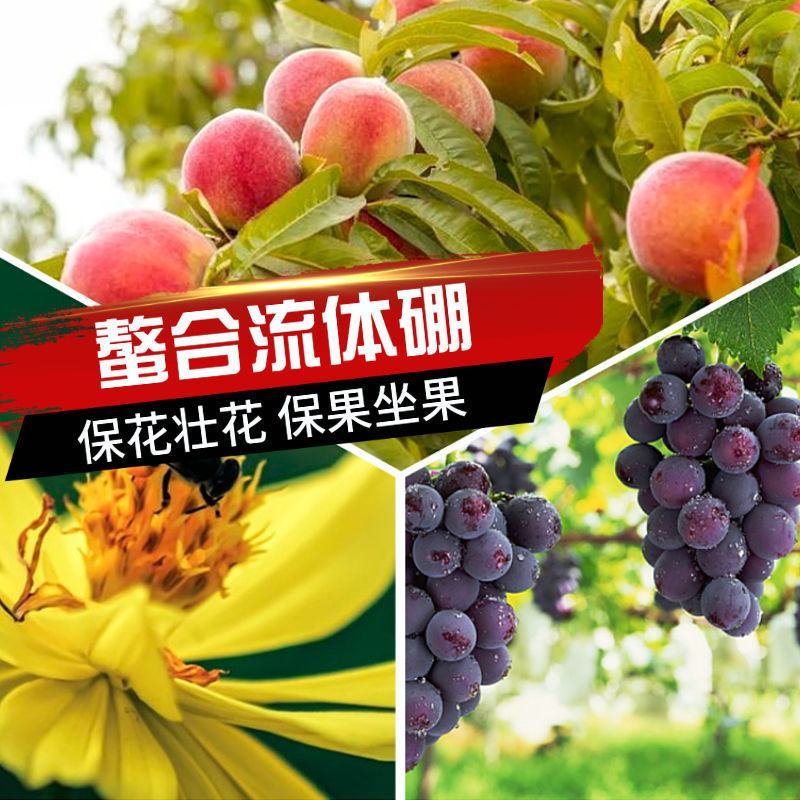 流体硼叶面肥流体硼螯合硼糖醇硼农用水溶肥保花保果膨大果实