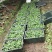 芒果筐水果篮果蔬包装二手缕空包装塑料框子带盖果筐运输框