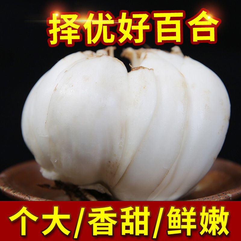 甘肃省土特产鲜百合兰州甜百合精品四头小包92包左右