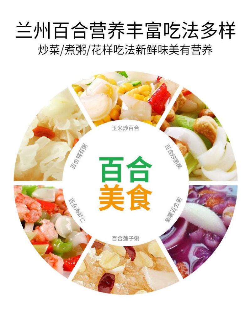甘肃省土特产鲜百合兰州甜百合精品四头小包92包左右