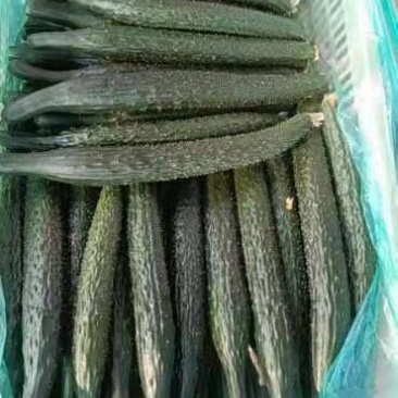 黄瓜