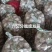 金乡大蒜货源地一手价格提供各种包装纸箱网袋全国接单承接电商