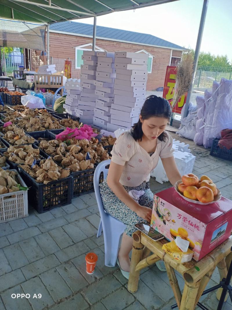 黄金蟠桃产地现摘纯甜多汁
