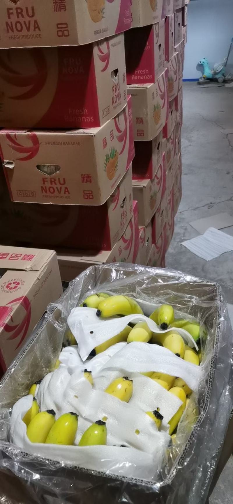 海南香蕉不受寒纯三把果面干净