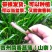 贵州新鲜三奈五香草茴香菖蒲带根随手香山奈去腥除味牛羊肉调