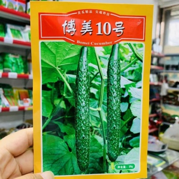 德瑞特博美10号黄瓜种子抗热油亮密刺油亮长黄瓜青瓜种子