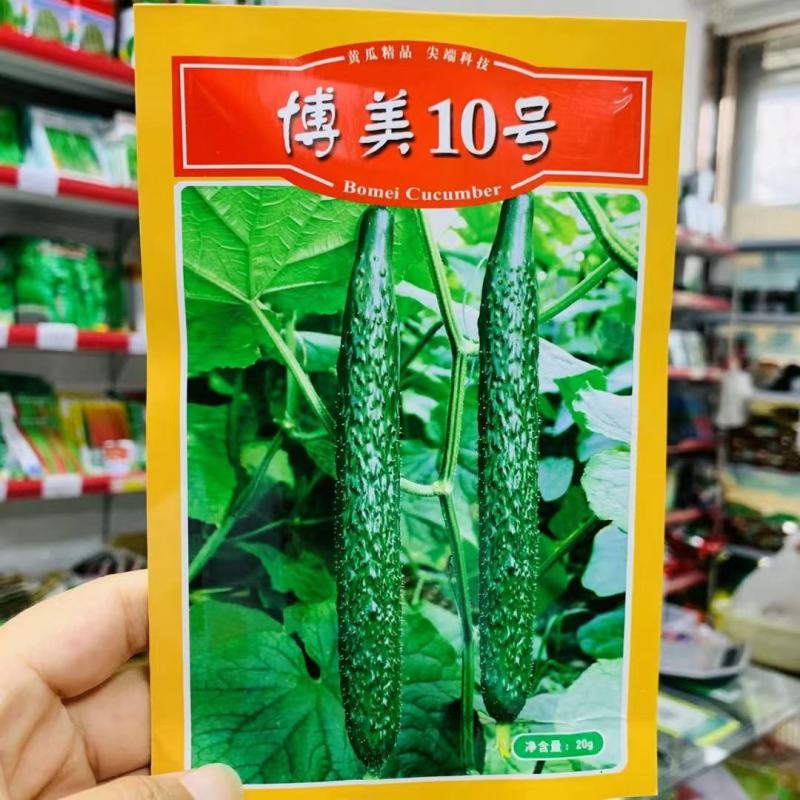 德瑞特博美10号黄瓜种子抗热油亮密刺油亮长黄瓜青瓜种子