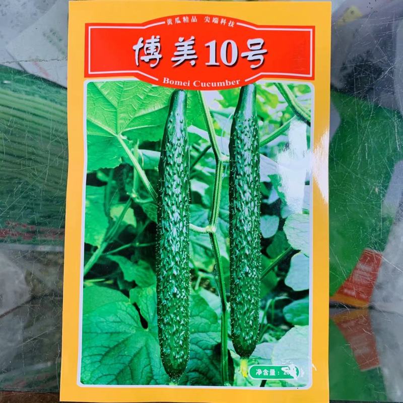 德瑞特博美10号黄瓜种子抗热油亮密刺油亮长黄瓜青瓜种子