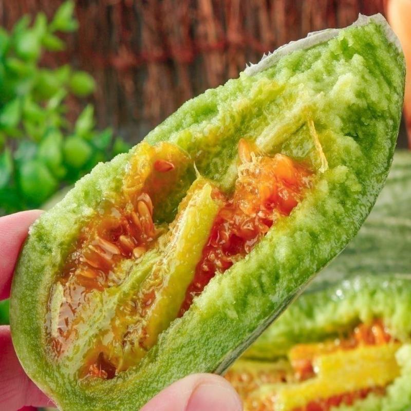 博洋61甜瓜种子天津德瑞特羊角脆羊角蜜薄皮甜脆杂交种子