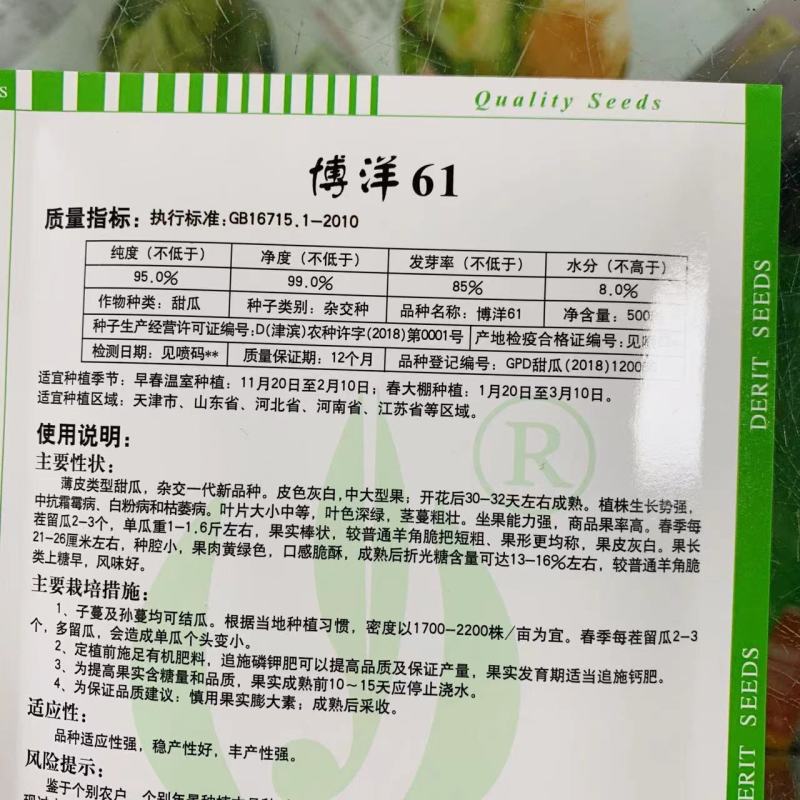 博洋61甜瓜种子天津德瑞特羊角脆羊角蜜薄皮甜脆杂交种子