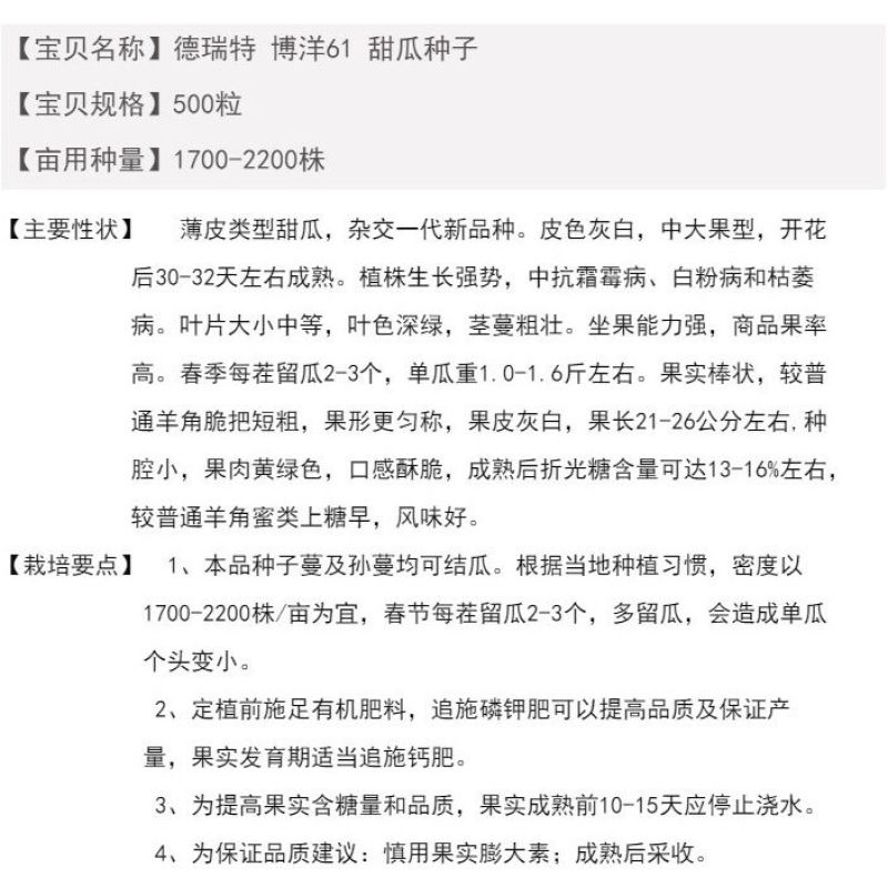 博洋61甜瓜种子天津德瑞特羊角脆羊角蜜薄皮甜脆杂交种子