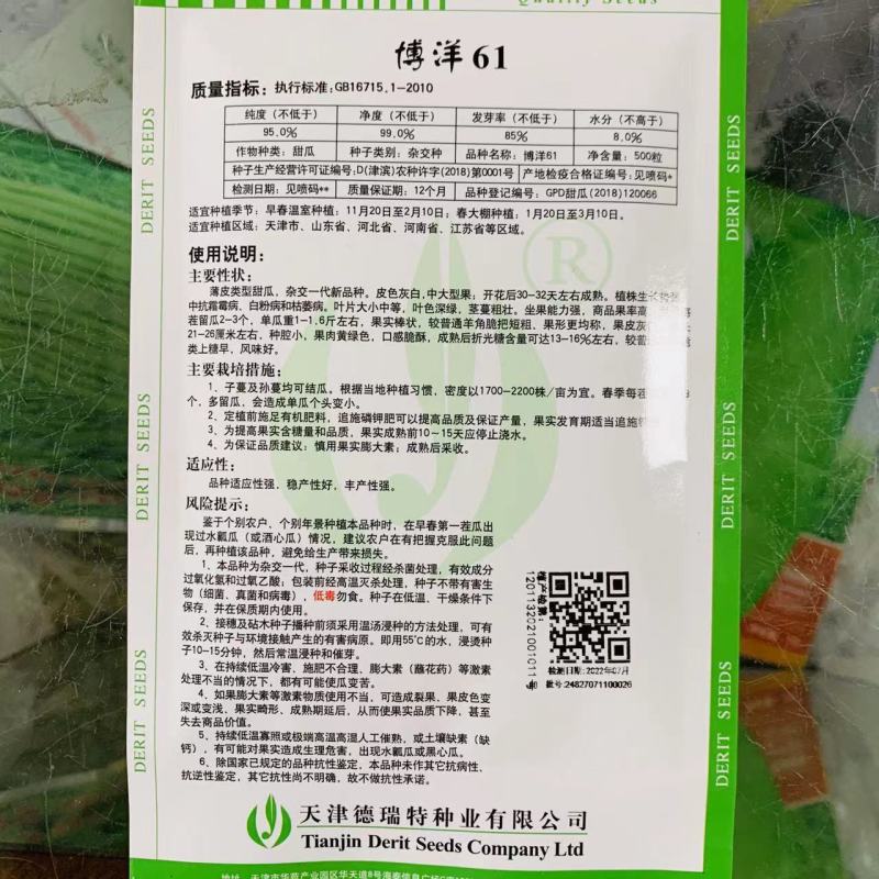 博洋61甜瓜种子天津德瑞特羊角脆羊角蜜薄皮甜脆杂交种子