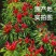 辣椒面辣椒粉特辣香辣微辣批发超辣魔鬼辣椒烧烤油泼辣子