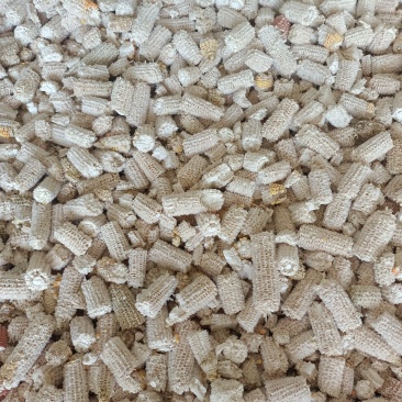 广西大量玉米芯出售