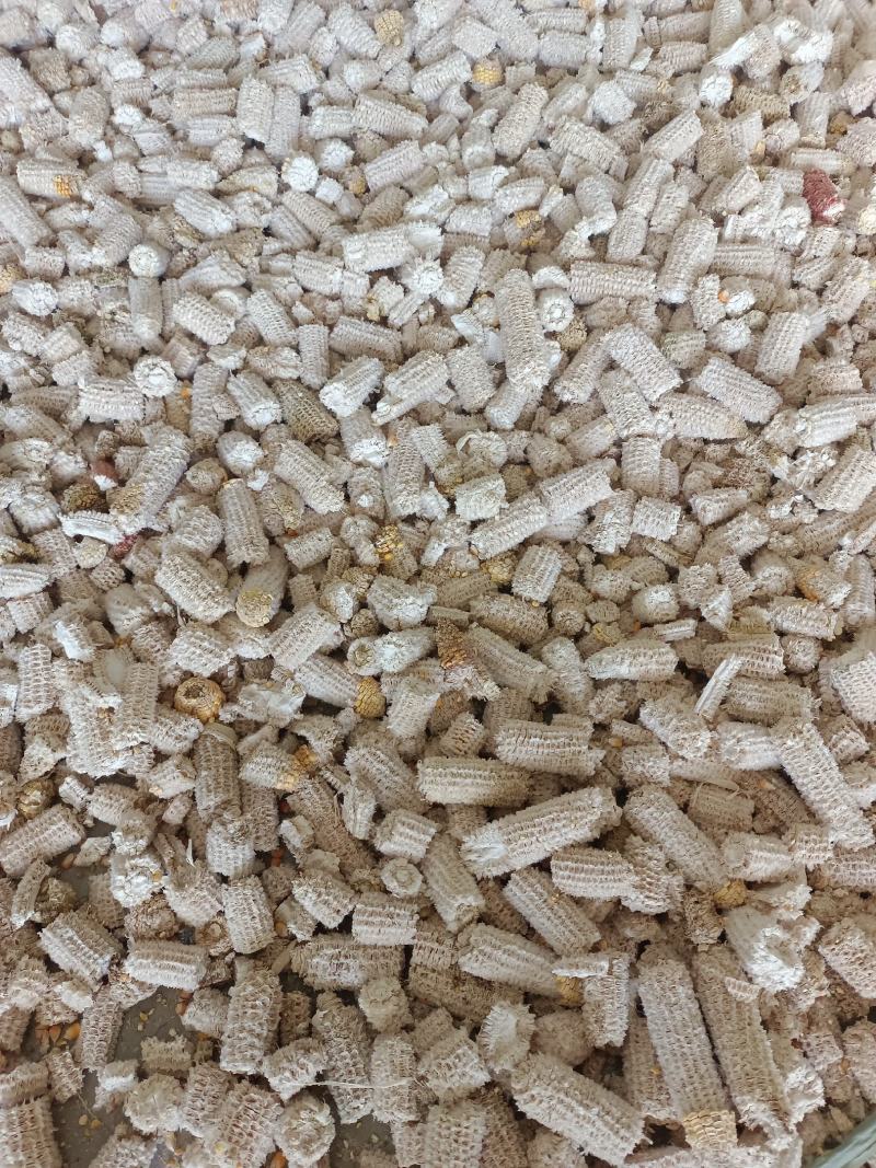 广西大量玉米芯出售