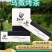 贵州威宁特产茶叶香炉山乌撒烤茶高山绿茶新茶