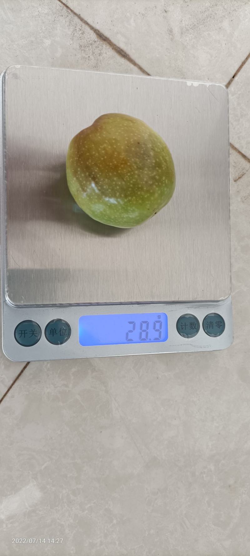 云南省大理白族自治州宾川县高原冬枣脆甜可口