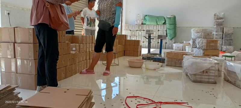 云南省大理白族自治州宾川县高原冬枣脆甜可口