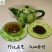 贵州威宁特产茶叶香炉山乌撒烤茶高山绿茶新茶