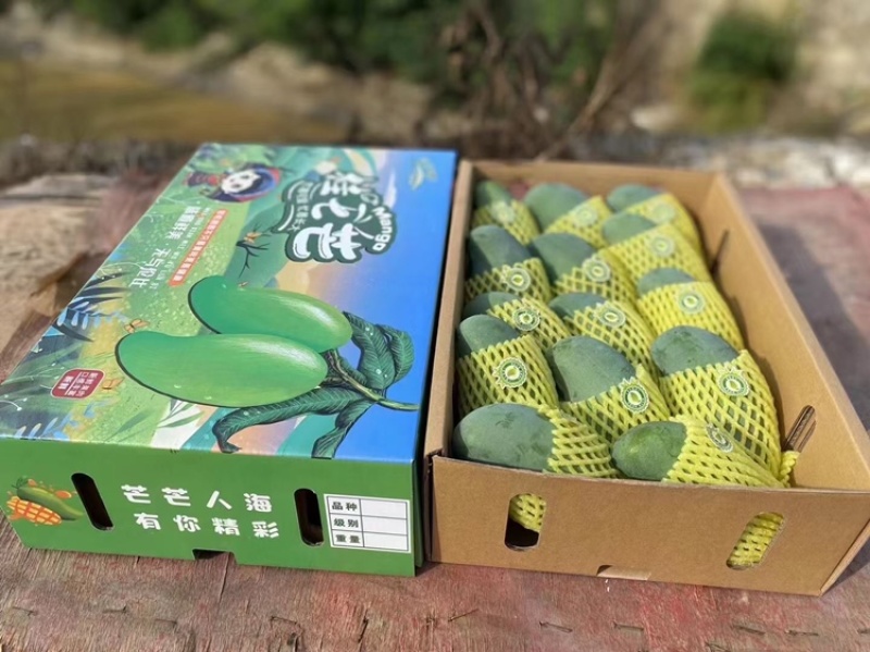 广西，桂七芒果大量供应中，口感甜香浓可口
