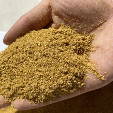 玉米酒糟DDGS蛋白含量高适口性好香味现产价格优惠质量好