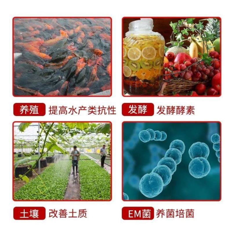 兽用红糖粉养殖红糖猪牛羊饲料添加剂畜牧禽养殖红糖鸡鸭鹅水