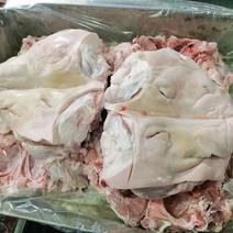 无耳猪头8-10厂家直销手续齐全全国可供应冷冻猪