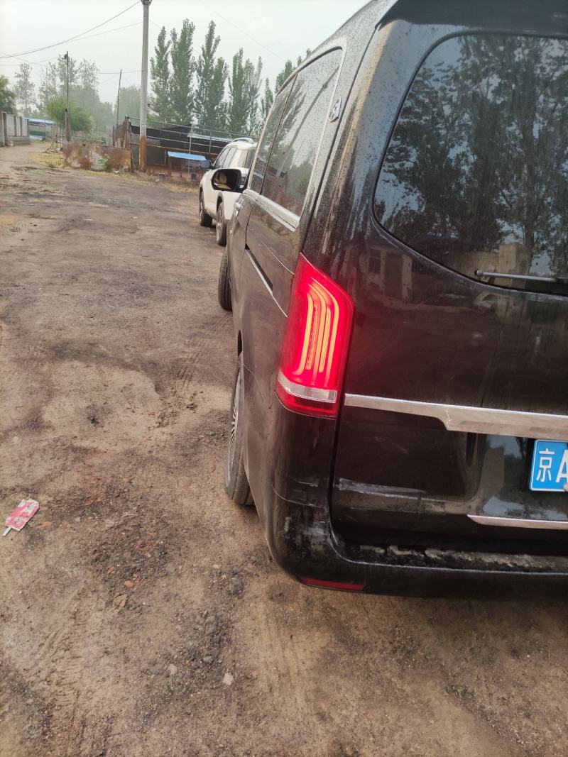 优质鹿仔鹿苗，任意挑选货到付款