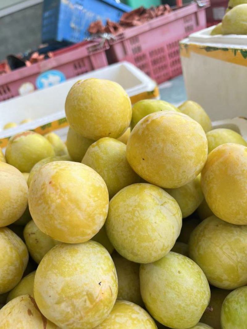 黄金奈李