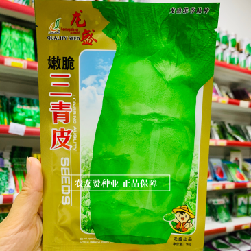 龙盛嫩脆三青皮莴笋种子青叶青皮青肉耐寒莴笋莴苣种子
