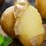 湖北黄心土豆，大量上市，产地看货，欢迎订购