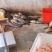 新鮮鳘魚胶，当天杀魚取胶当天发货，每个重2两