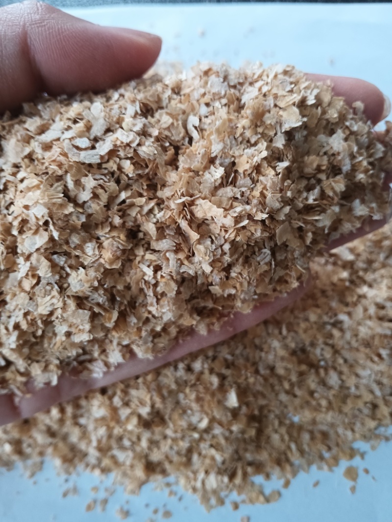 麦麸大片麸皮猪牛羊黄粉虫厂里直发可视频看货欢迎来