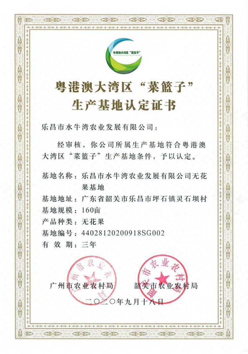 水牛湾新鲜无花果多品种混搭2-4斤供港供澳品质老广的味道