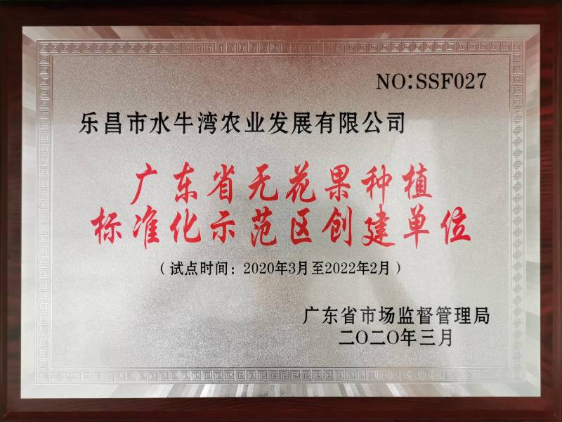 水牛湾新鲜无花果多品种混搭2-4斤供港供澳品质老广的味道