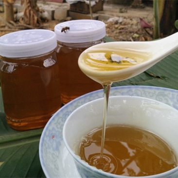 土蜂蜜中华土蜂非意蜂蜜